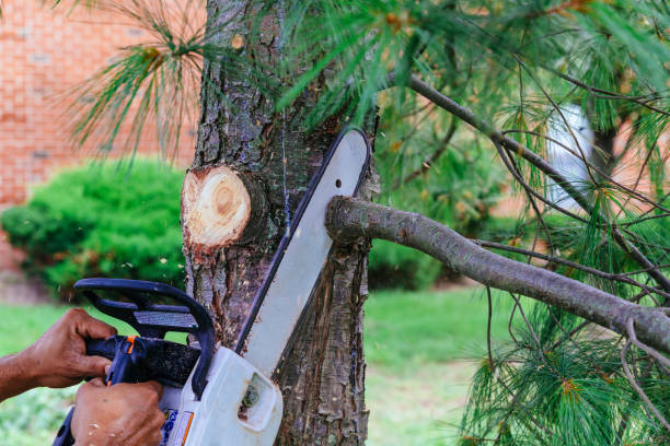 Leaf Removal in Middletown, OH